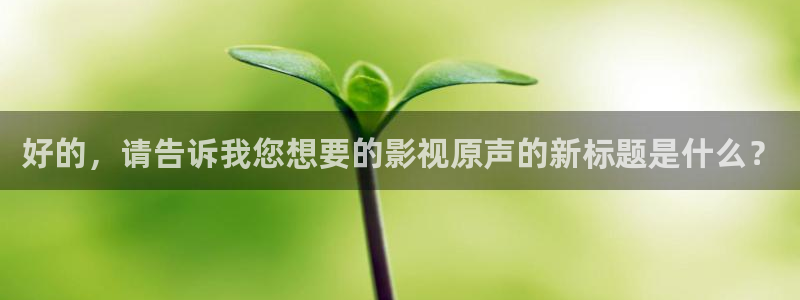 完美电影天堂影院